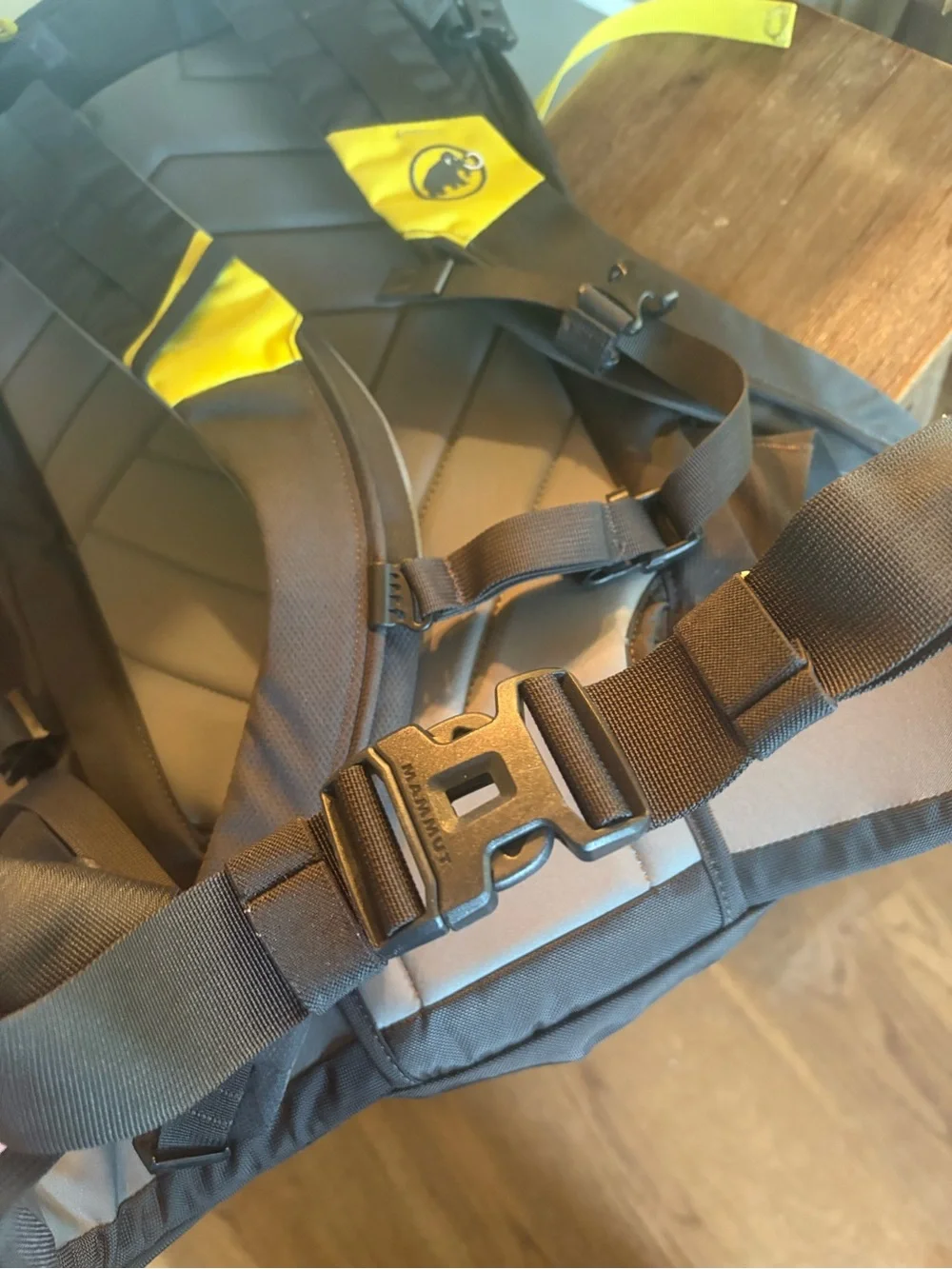Mammut looks unused